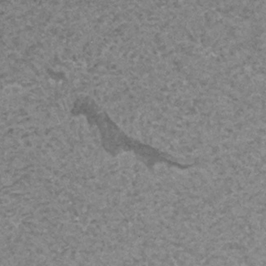 The Sun in H-alpha light, with filaments outlined